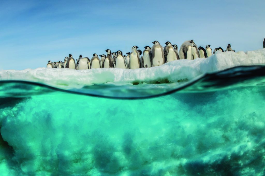 Icebreaker Studios, de l’Homme à la Nature