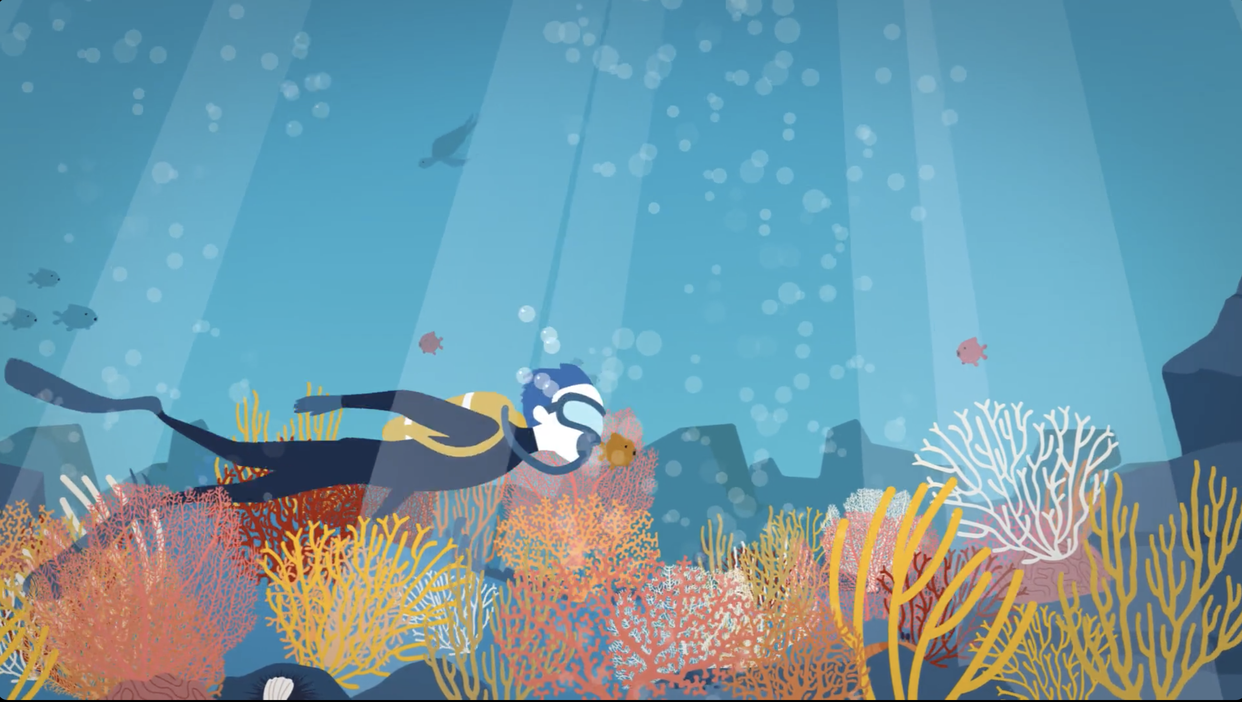 Un plongeur au dessus du corail